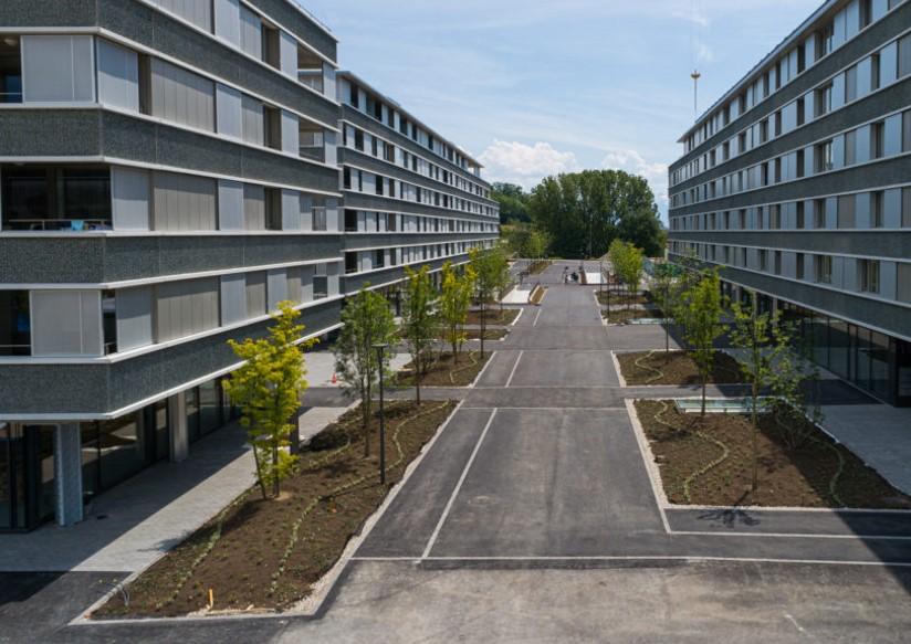 Les Cèdres