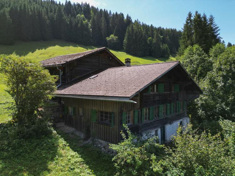 Ehemaliger Bauernhof aus dem XVIII. Jahrhundert (zu renovieren)