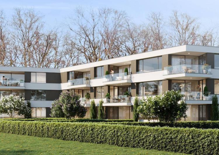 Wunderschöne 4-Zimmer-Giebelwohnung mit Loggia und Balkon