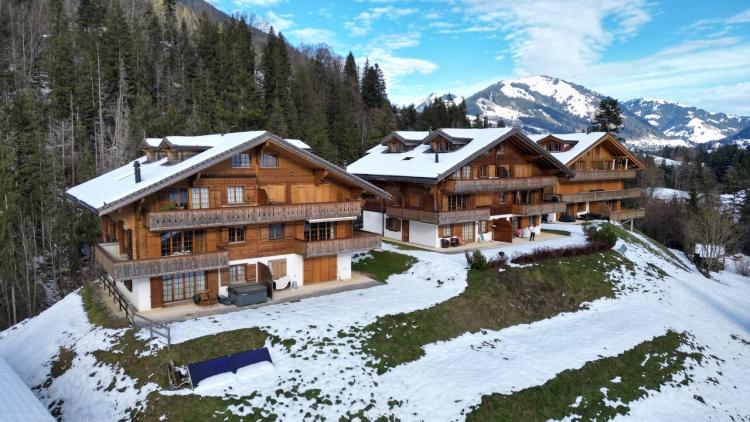 Exceptional Apartment in a Luxury Chalet