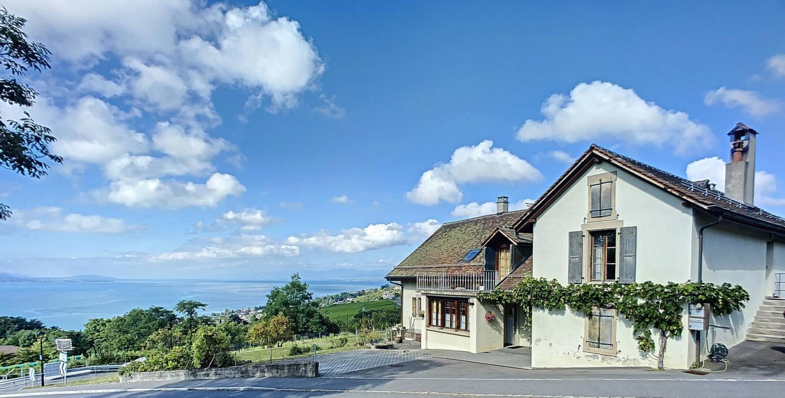 Geräumiges altes Winzerhaus