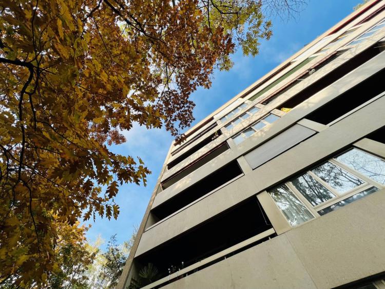 31 m² großes Studio vermietet