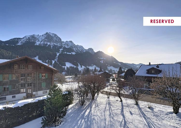 Lovely attic apartment near the center