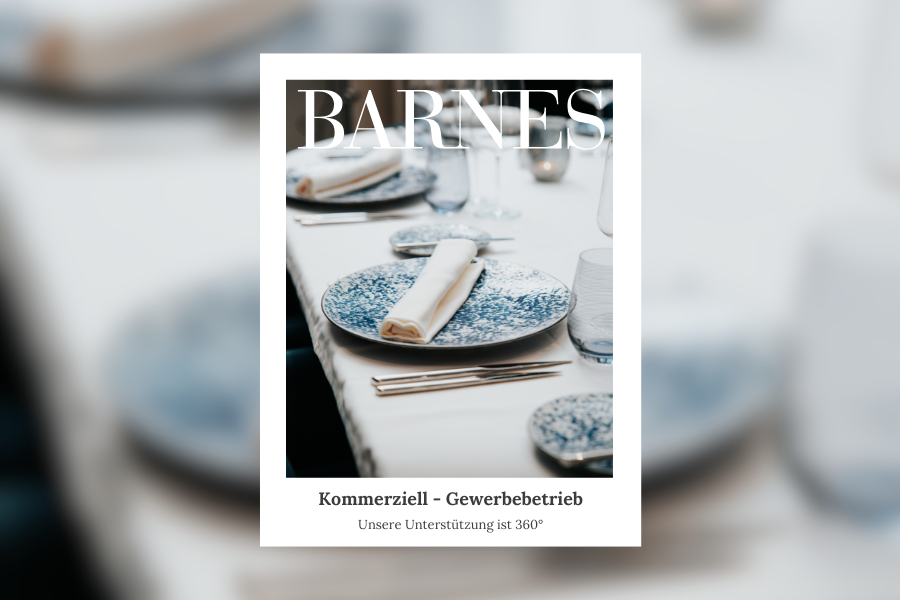 BARNES Magazin Schweiz #20: Unsere Betreuung ist 360°