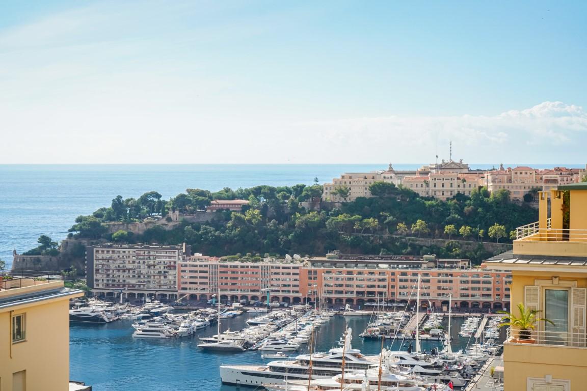 amVb6_zoom_palais_vue_mer_monte_carlo_moyen_.jpg