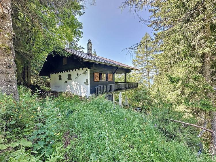 Eine wahre Oase der Ruhe! 3,5-Zimmer-Chalet in der Nähe des Col de Jaman