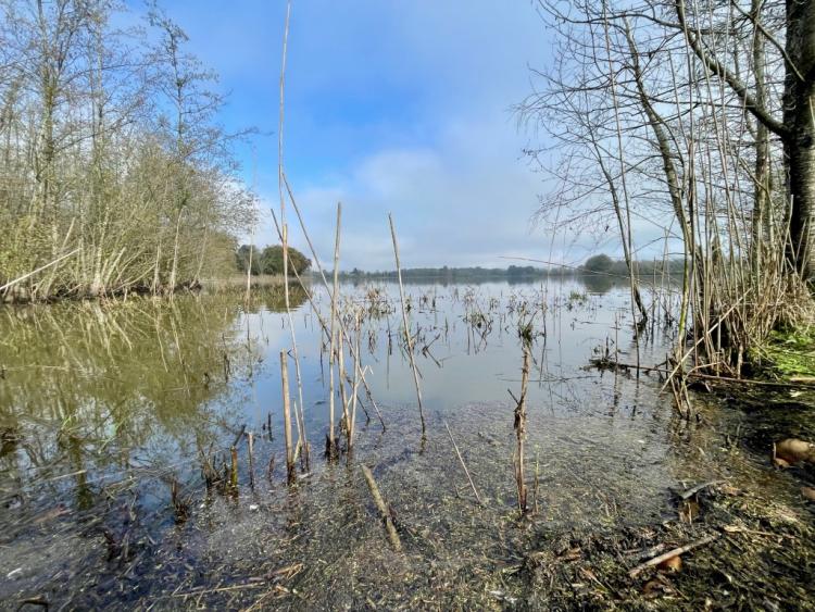 CHALAMONT - Ain - Propriété d’exception de 500 hectares