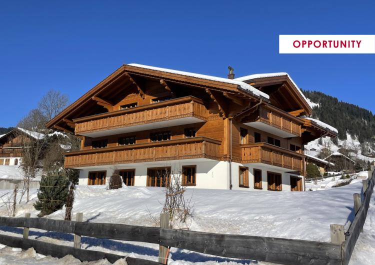 Saanen - Bel appartement moderne