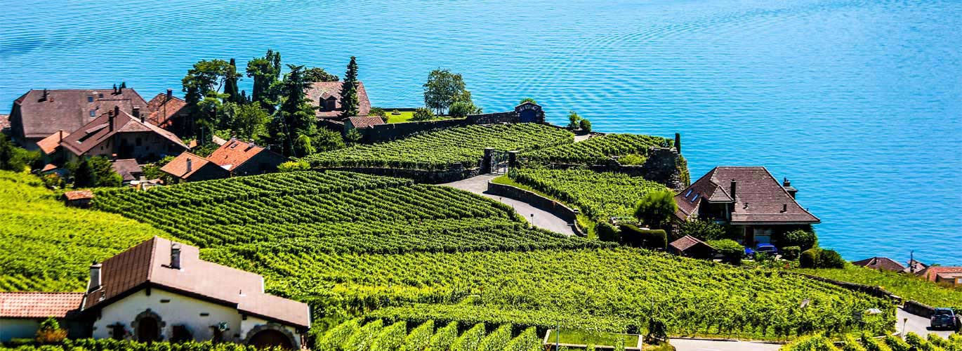 Lausanne und Lavaux