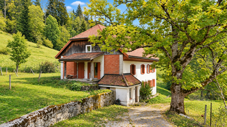 Haus mit vielfältigen Nutzungsmöglichkeiten in grüner Umgebung