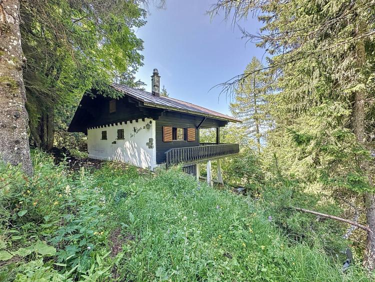 Eine wahre Oase der Ruhe! 3,5-Zimmer-Chalet in der Nähe des Col de Jaman