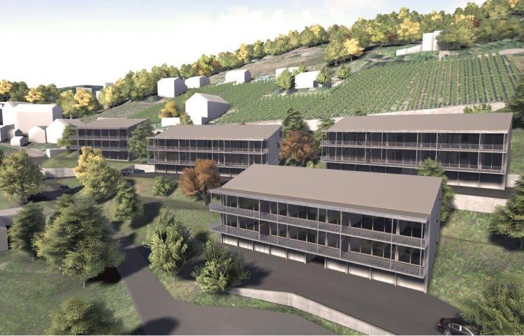 Helle neue 3 1/2-Wohnung