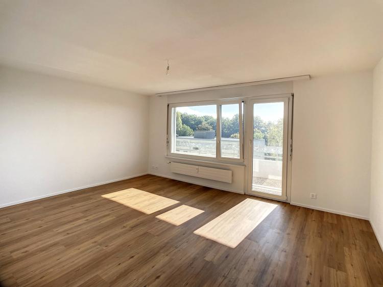 kaban-bien-5132994.jpg