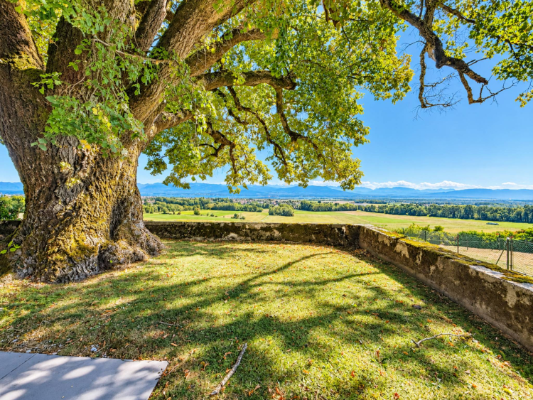 Une vie de château au coeur de la nature avec vue sur le lac