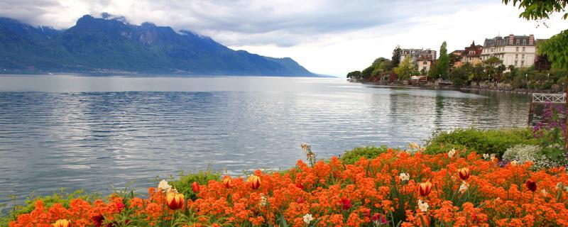 Acheter une propriété à Montreux