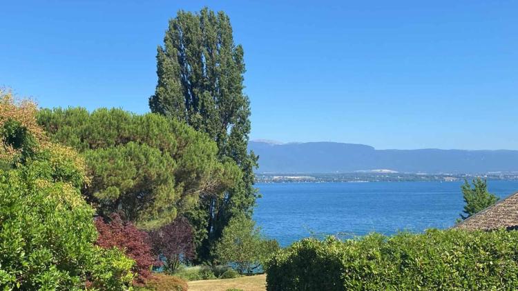 Architektonisch gestaltete Villa mit Seeblick und -zugang, privater Bootssteg