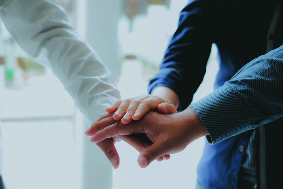 Partnerverbände
