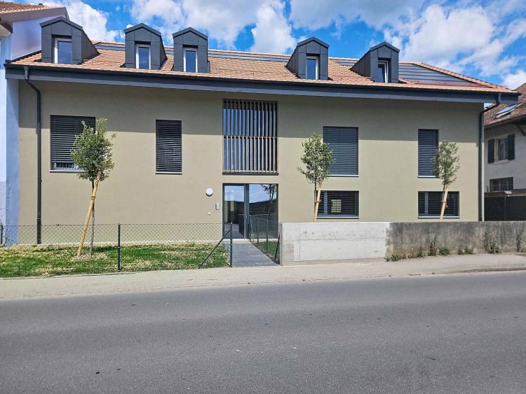Neue 3,5 Zimmerwohnung mit Terrasse