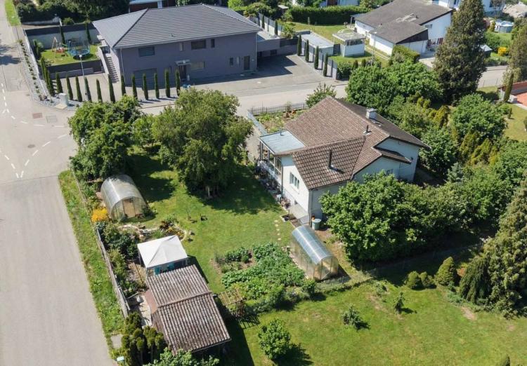 Helles Einfamilienhaus in grüner Umgebung