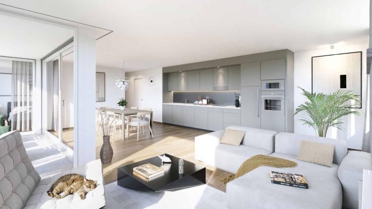 Brandneue 4,5-Zimmer-Wohnung
