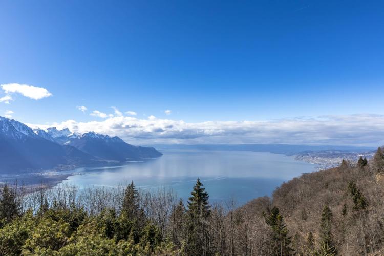 ZA4RO_kaban-bien-5174282.jpg